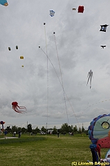 Venice kite festival_0324